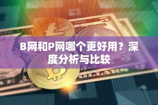 B网和P网哪个更好用？深度分析与比较