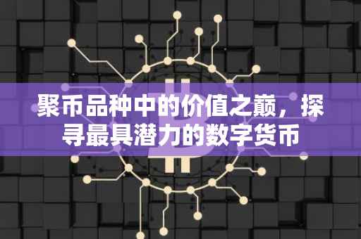 聚币品种中的价值之巅，探寻最具潜力的数字货币
