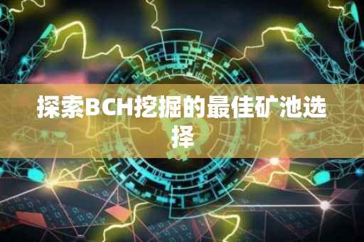 探索BCH挖掘的最佳矿池选择
