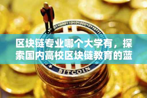 区块链专业哪个大学有，探索国内高校区块链教育的蓝图