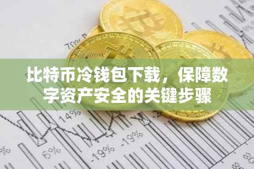 比特币冷钱包下载，保障数字资产安全的关键步骤