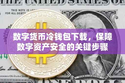 数字货币冷钱包下载，保障数字资产安全的关键步骤