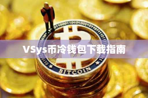 VSys币冷钱包下载指南