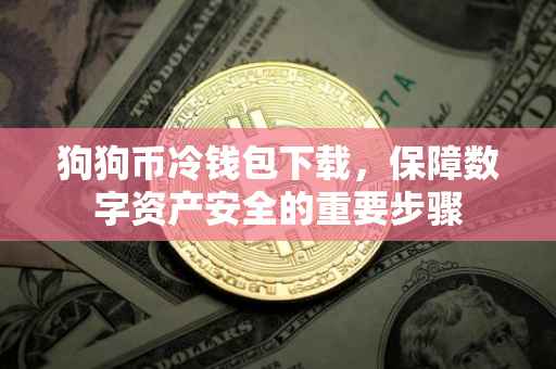 狗狗币冷钱包下载，保障数字资产安全的重要步骤