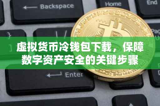 虚拟货币冷钱包下载，保障数字资产安全的关键步骤