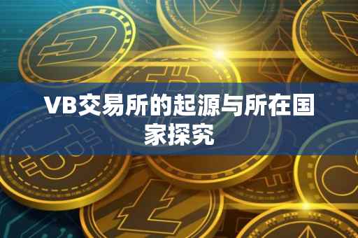 VB交易所的起源与所在国家探究