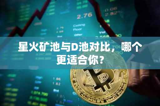星火矿池与D池对比，哪个更适合你？