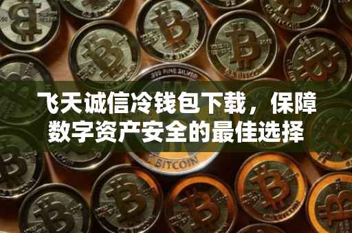 飞天诚信冷钱包下载，保障数字资产安全的最佳选择