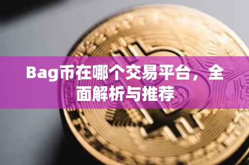 Bag币在哪个交易平台，全面解析与推荐