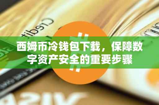 西姆币冷钱包下载，保障数字资产安全的重要步骤