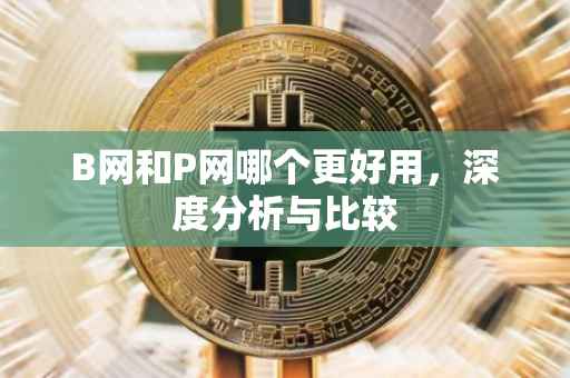 B网和P网哪个更好用，深度分析与比较