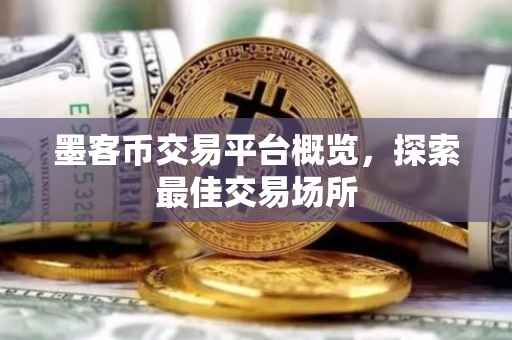 墨客币交易平台概览，探索最佳交易场所