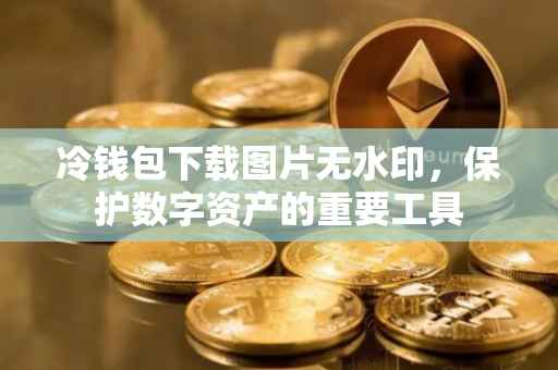 冷钱包下载图片无水印，保护数字资产的重要工具
