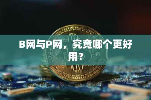 B网与P网，究竟哪个更好用？