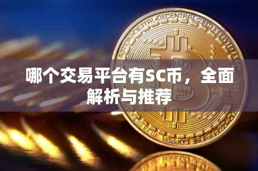 哪个交易平台有SC币，全面解析与推荐
