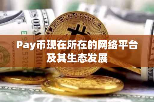 Pay币现在所在的网络平台及其生态发展