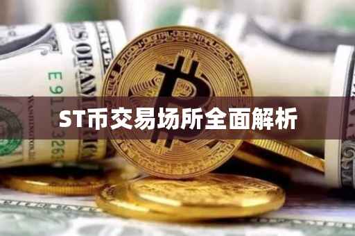 ST币交易场所全面解析