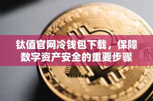 钛值官网冷钱包下载，保障数字资产安全的重要步骤