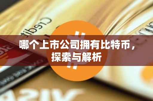 哪个上市公司拥有比特币，探索与解析