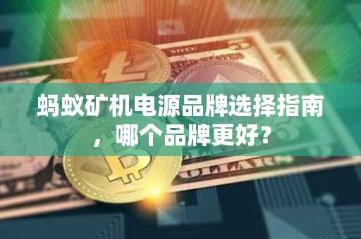 蚂蚁矿机电源品牌选择指南，哪个品牌更好？