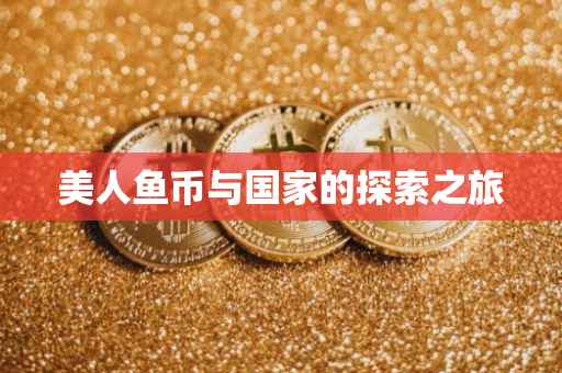 美人鱼币与国家的探索之旅