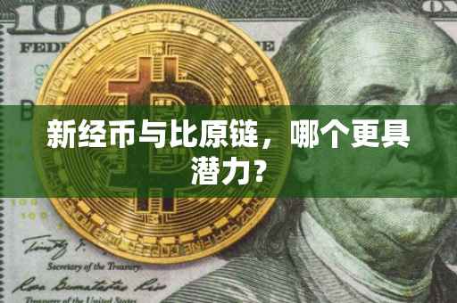 新经币与比原链，哪个更具潜力？