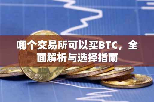 哪个交易所可以买BTC，全面解析与选择指南