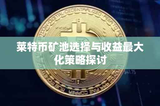 莱特币矿池选择与收益最大化策略探讨