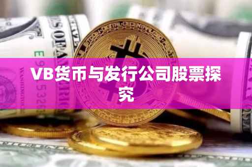 VB货币与发行公司股票探究