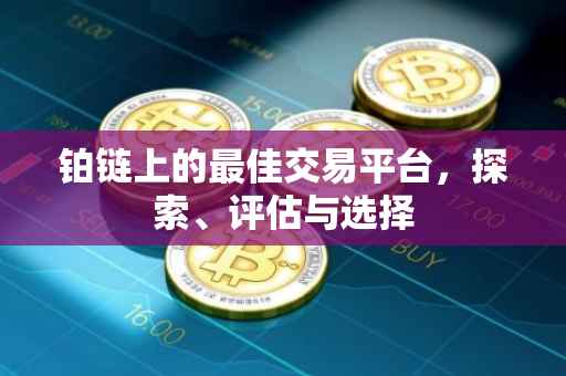 铂链上的最佳交易平台，探索、评估与选择