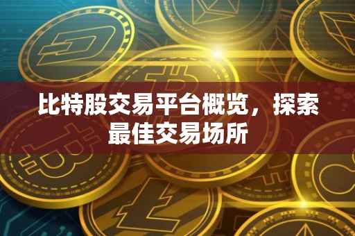 比特股交易平台概览，探索最佳交易场所