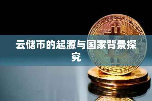 云储币的起源与国家背景探究