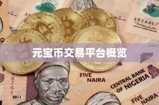 元宝币交易平台概览