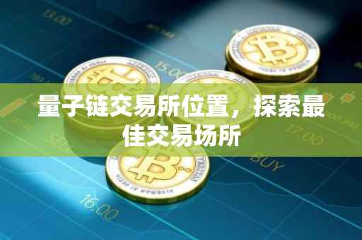 量子链交易所位置，探索最佳交易场所