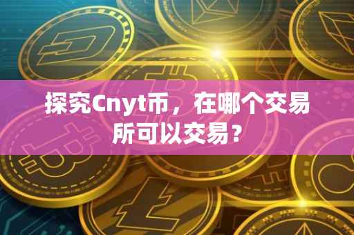 探究Cnyt币，在哪个交易所可以交易？