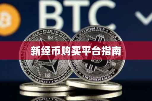 新经币购买平台指南