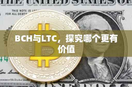 BCH与LTC，探究哪个更有价值