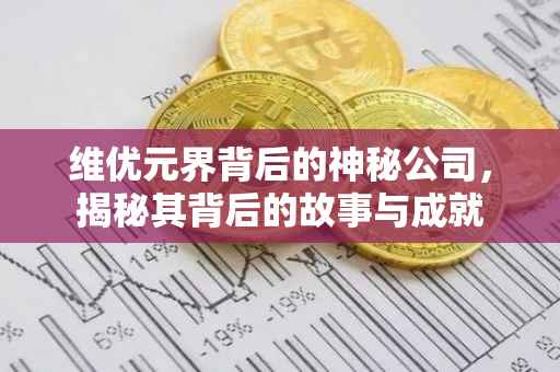 维优元界背后的神秘公司，揭秘其背后的故事与成就