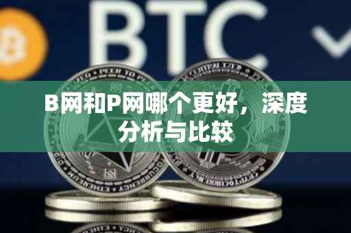 B网和P网哪个更好，深度分析与比较