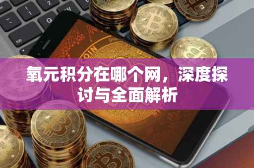 氧元积分在哪个网，深度探讨与全面解析