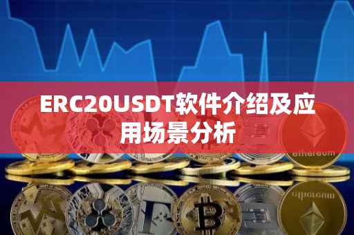 ERC20USDT软件介绍及应用场景分析