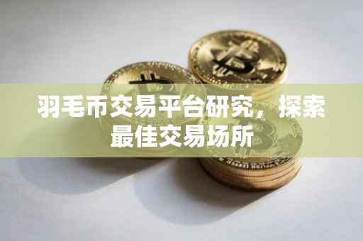 羽毛币交易平台研究，探索最佳交易场所