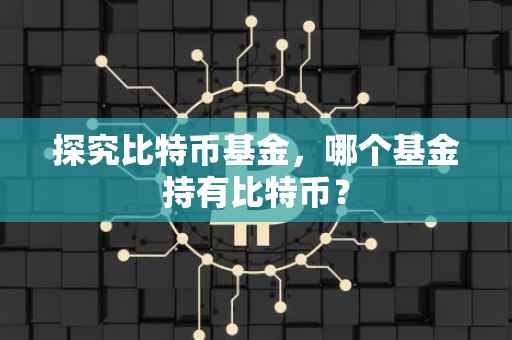 探究比特币基金，哪个基金持有比特币？