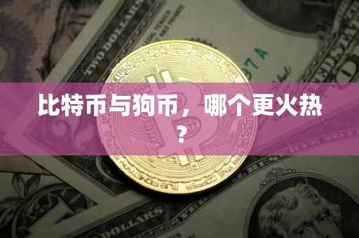 比特币与狗币，哪个更火热？