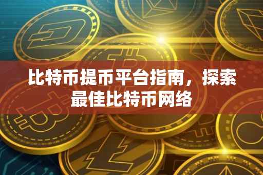 比特币提币平台指南，探索最佳比特币网络