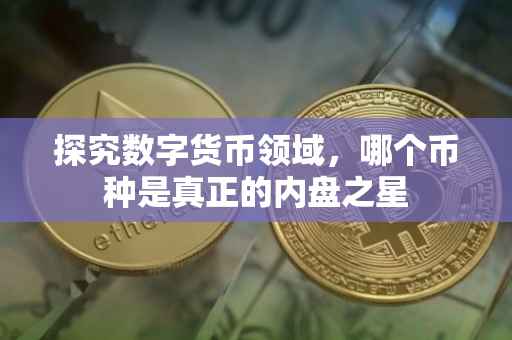 探究数字货币领域，哪个币种是真正的内盘之星