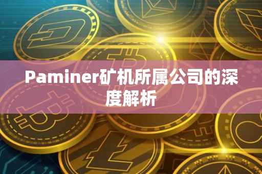 Paminer矿机所属公司的深度解析