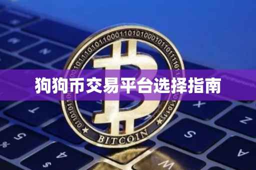 狗狗币交易平台选择指南