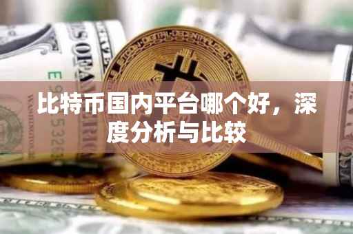 比特币国内平台哪个好，深度分析与比较