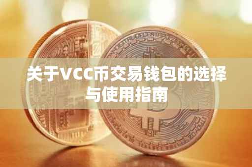关于VCC币交易钱包的选择与使用指南